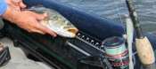 Kayaks: 350FX Fishing Explorer™ by Sea Eagle - Image 3026 Kayaks: 350FX Fishing Explorer™ by Sea Eagle - Image 3026