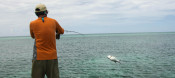 Lifestyle: FREEwt Long Sleeve Shirt by Twelve Weight - Image 4675 Lifestyle: FREEwt Long Sleeve Shirt by Twelve Weight - Image 4675