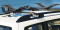 Transport, Storage & Launching: SeaWing™ Stinger™ Combo by Malone Auto Racks - Image 4169