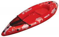 AE3021_Main_2017_SM-first_product_boats.jpg