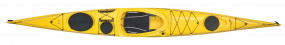 BaffinP1Yellow-top