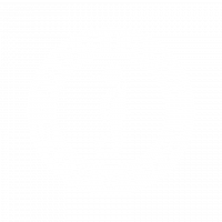 Mustang Survival - 2023