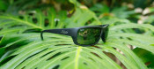 Hobie Eyewear Snook fishing sunglasses sitting on a plant leaf Hobie Eyewear Snook fishing sunglasses sitting on a plant leaf