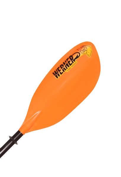 Kayak Paddles: Tybee: Hooked by Werner Paddles - Image 3763